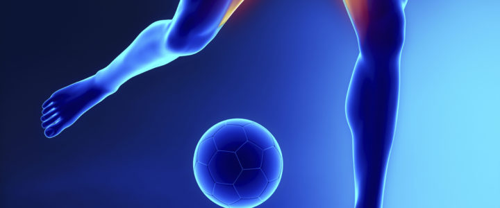 Studio Sport Health Pubalgia